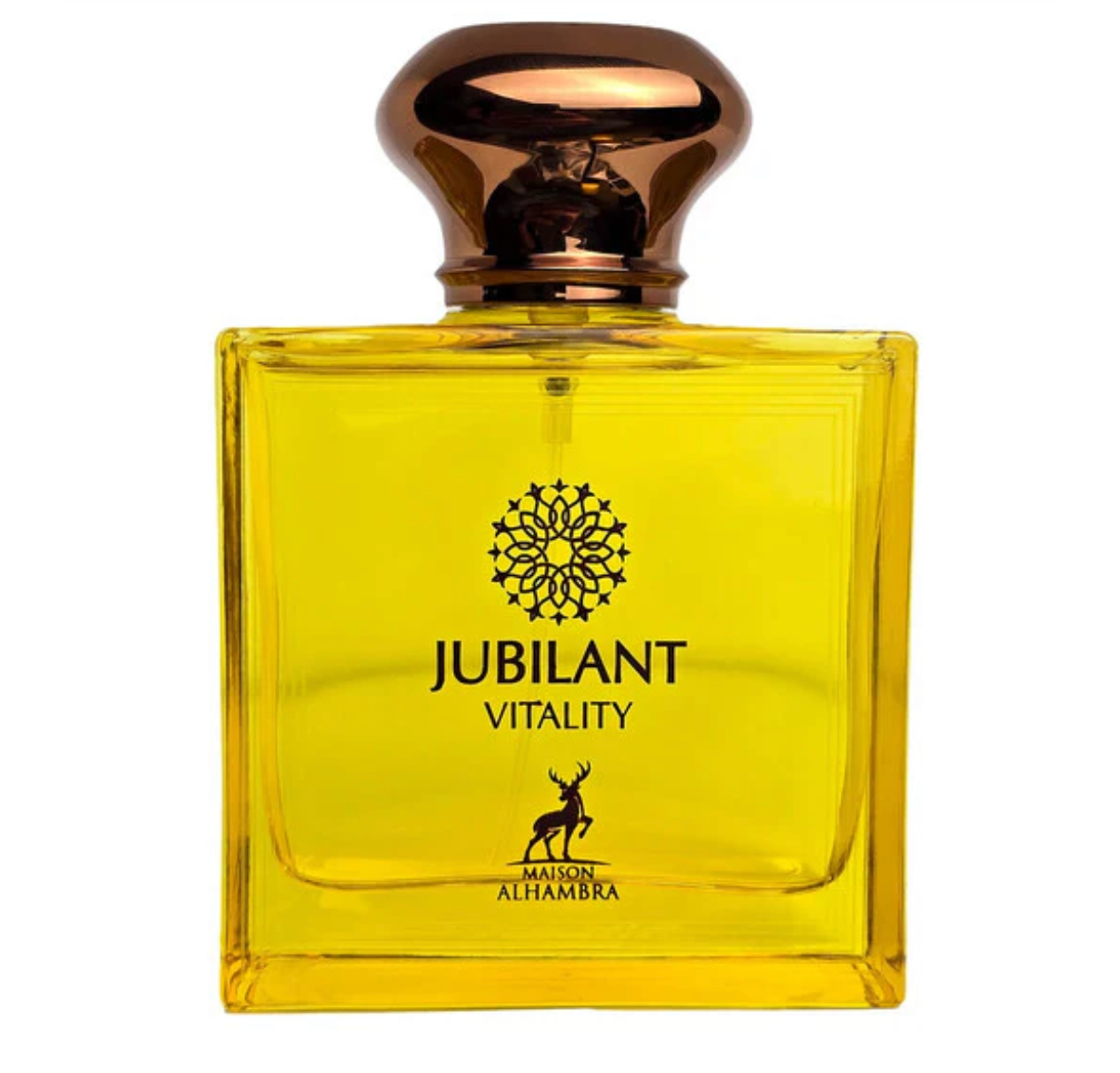 JUBILANT VITALITY MEN EDP -100 ml by ALHAMBRA