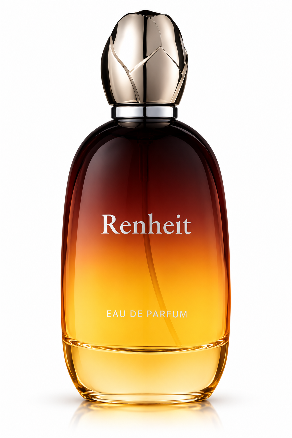 RENHEIT EDP MEN - 100ml (3.4oz) BY FRAGRANCE WORLD