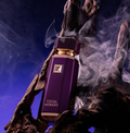 Cocoa Morado French Avenue