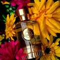 Mango Jugoso 100 ml by Paris Corner