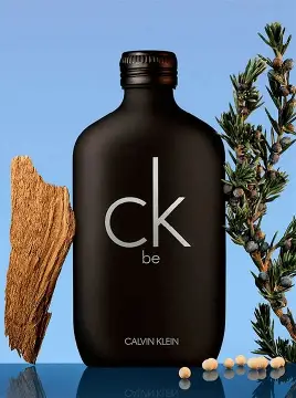Calvin Klein Be Eau de Toilette - 100 ml unisex