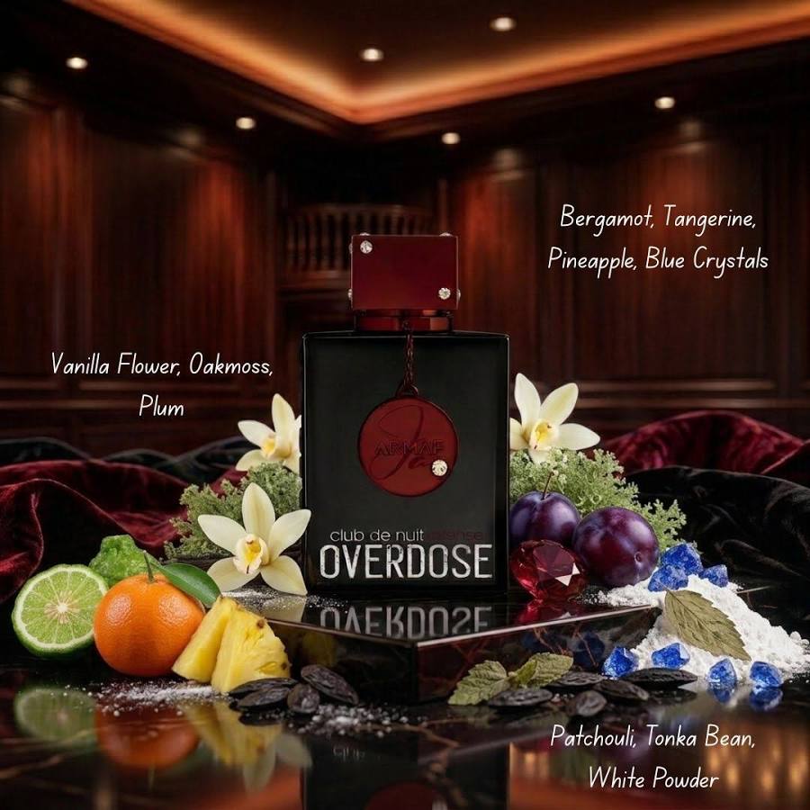 Club de Nuit Intense Overdose