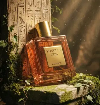 Tonquin Giza EDP -100 ml by Rayhaan